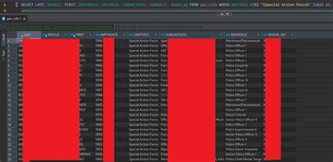 Hacker breaches PNP online systems anew .